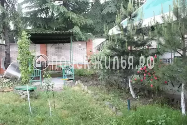 «Альталушта», Алушта