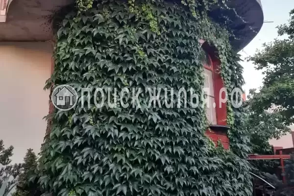 «Ласточкино гнездо», Геленджик