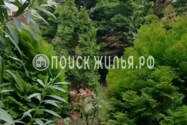 «Ласточкино гнездо», Геленджик