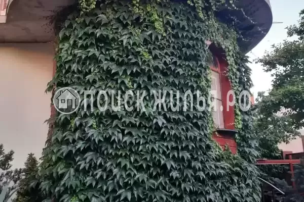 «Ласточкино гнездо», Геленджик