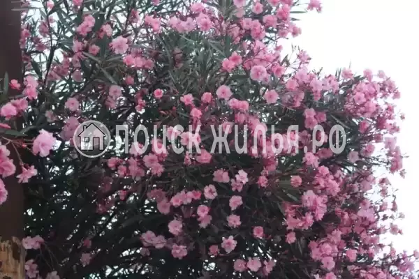 Гостевой дом «У Татьяны», Цандрипш Гостевой дом «У Татьяны», Цандрипш