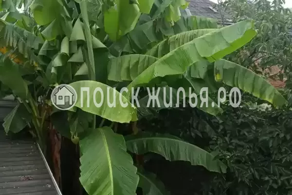 Гостевой дом «У Татьяны», Цандрипш Гостевой дом «У Татьяны», Цандрипш