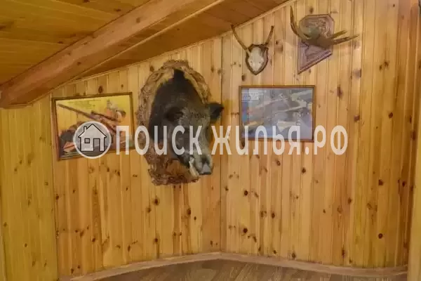 Отель «Аллан», Россошь