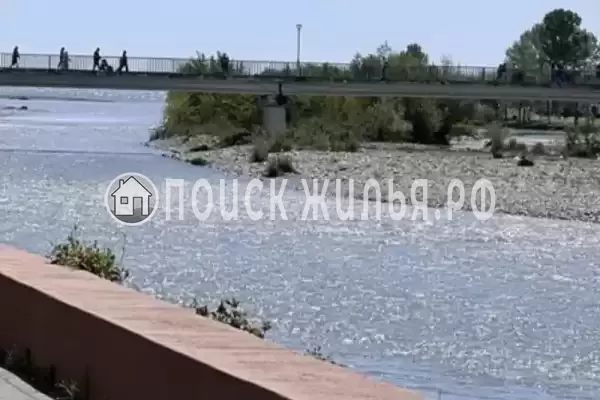 «Алиса», Адлер