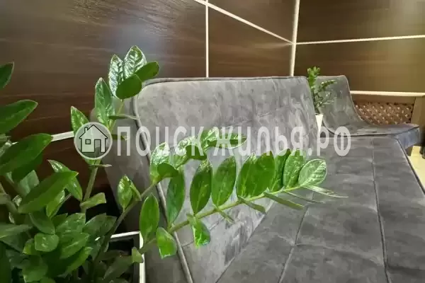 Отель «Оникс», Павловск Отель «Оникс», Павловск