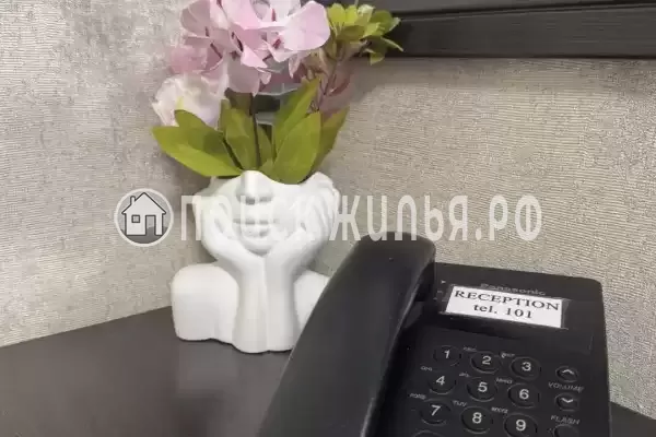 Отель «Оникс», Павловск Отель «Оникс», Павловск