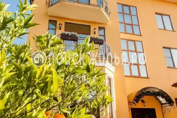 «Апельсин», Адлер