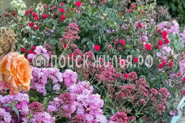 «Нептун 2», Евпатория «Нептун 2», Евпатория