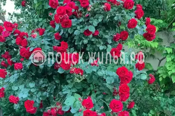 «Нептун 2», Евпатория «Нептун 2», Евпатория