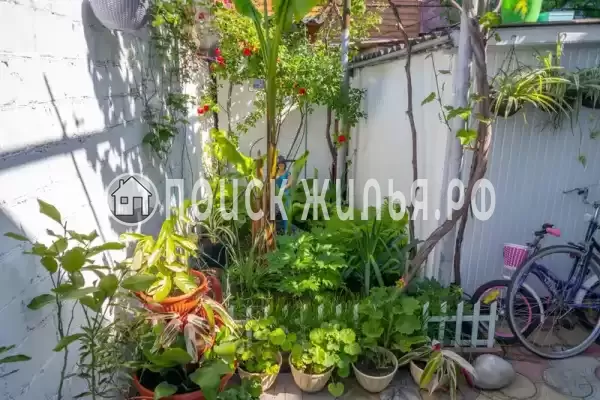 «Риф», Анапа