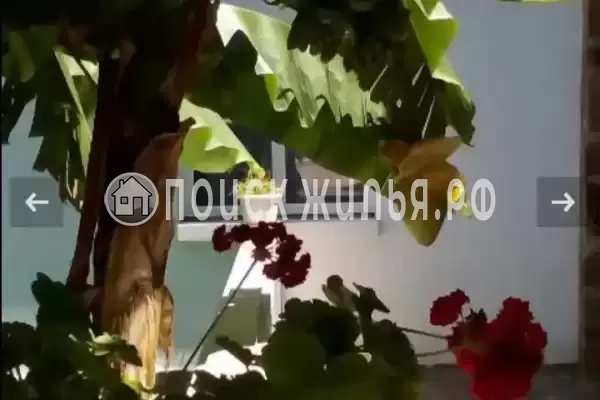 «Релакс», Краснодарский край, Туапсе, Ключевая, д.9А «Релакс», Краснодарский край, Туапсе, Ключевая, д.9А