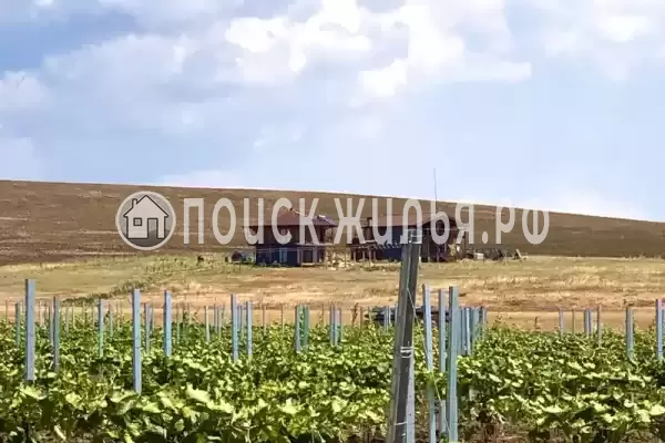 «Фридом», Веселовка «Фридом», Веселовка