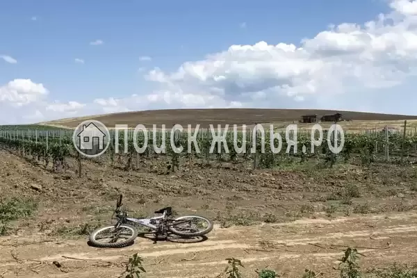 «Фридом», Веселовка «Фридом», Веселовка