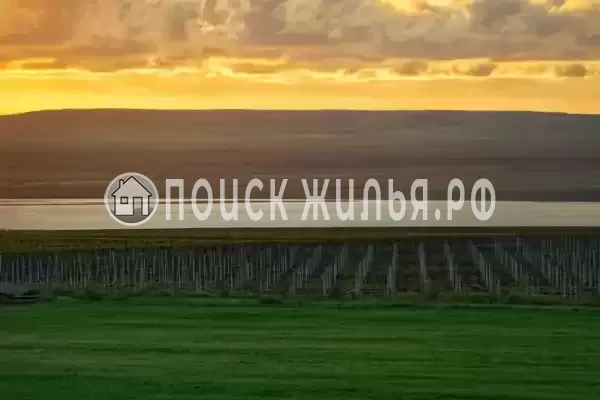 «Фридом», Веселовка «Фридом», Веселовка