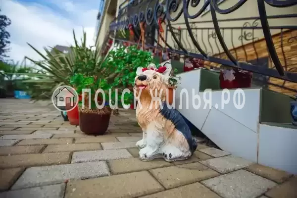 «На Набережной 11», Адлер «На Набережной 11», Адлер