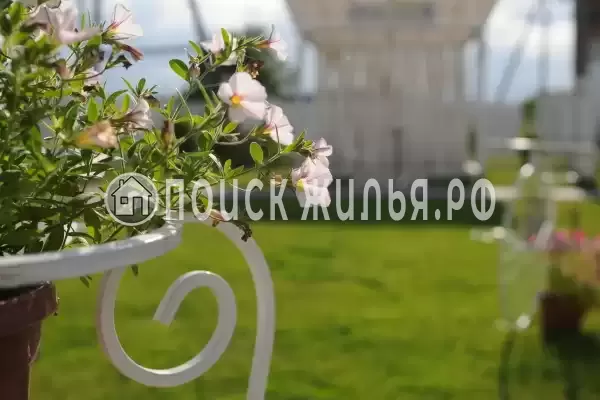 Отель «Подсолнухи», Пирочи