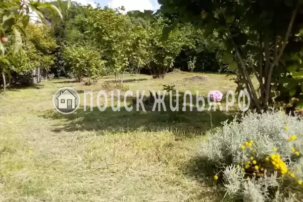 Дом под ключ «Софьин дом», Пляхо