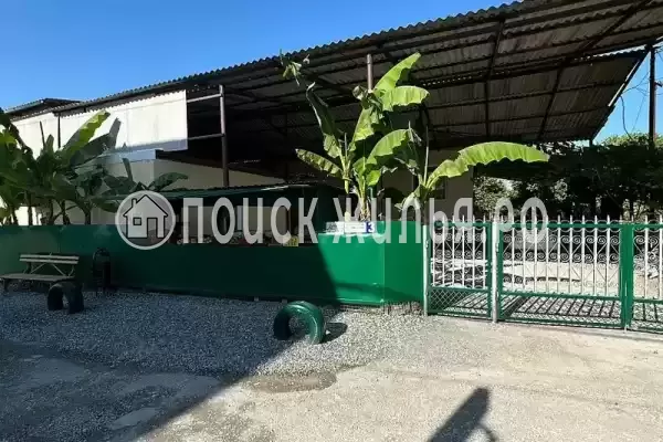 Частный сектор «Мандарин», Пицунда