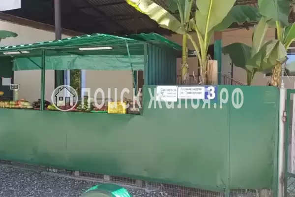 Частный сектор «Мандарин», Пицунда