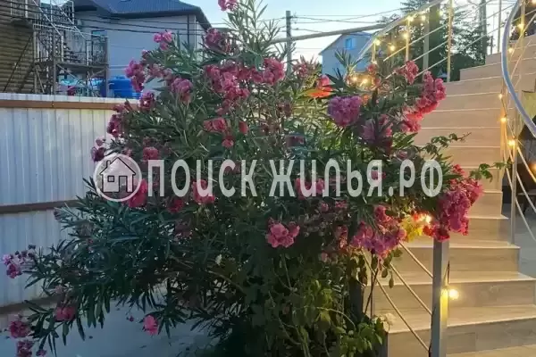 Гостевой дом «LETTO»