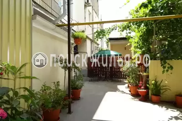 «Аэлита», Адлер «Аэлита», Адлер