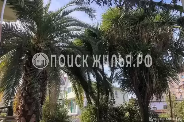 «Тропики», Адлер