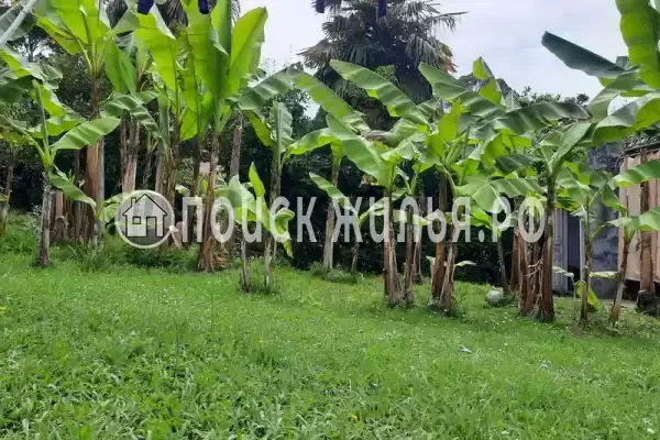 Частный сектор «Комнаты в доме на ул. Цвижба», Гудаута Частный сектор «Комнаты в доме на ул. Цвижба», Гудаута