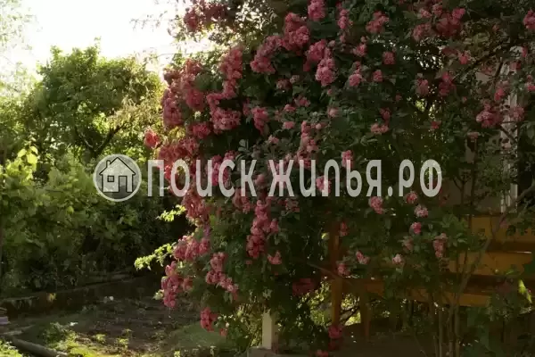 Гостевой дом «Новый Афон», Новый Афон