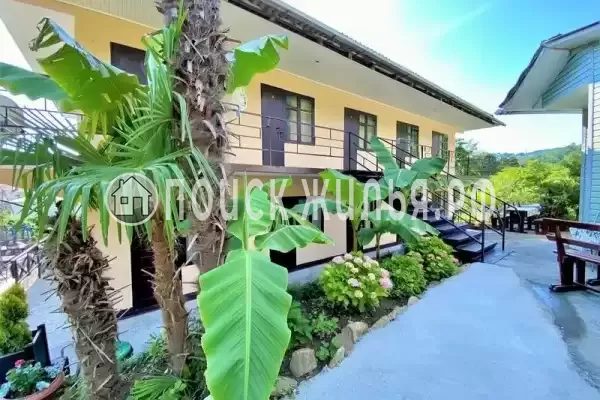 «Горный воздух», Вардане «Горный воздух», Вардане