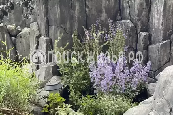 «Лион», Лоо