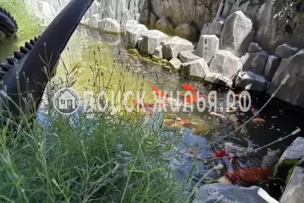 «Лион», Лоо