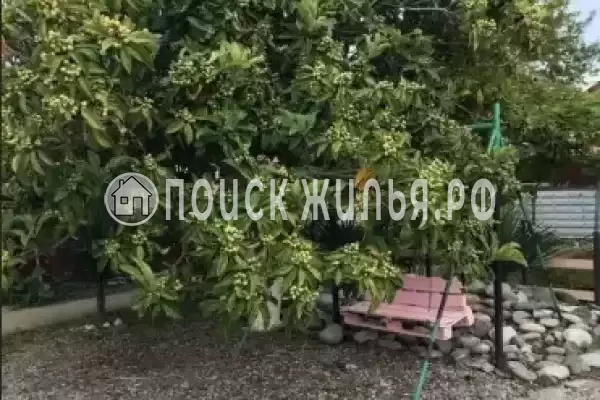 Гостевой дом «У Аси и Альберта», Пицунда