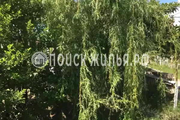 Гостевой дом «У Аси и Альберта», Пицунда