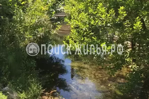 Гостевой дом «У Аси и Альберта», Пицунда