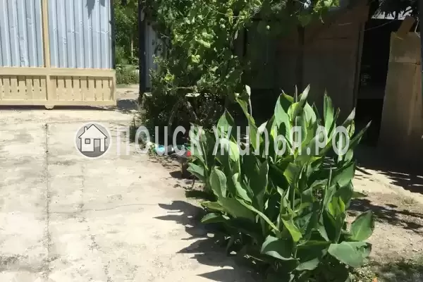 Гостевой дом «У Аси и Альберта», Пицунда