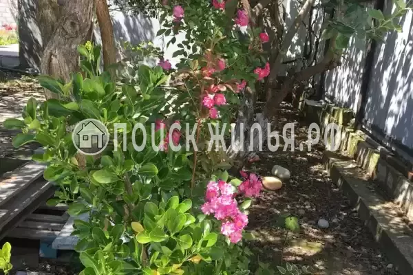 Гостевой дом «У Аси и Альберта», Пицунда