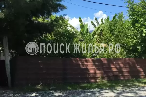 Гостевой дом «У Аси и Альберта», Пицунда