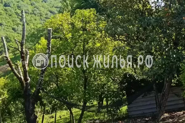 Гостевой дом «У Ашота и Джульетты», Приморское Гостевой дом «У Ашота и Джульетты», Приморское