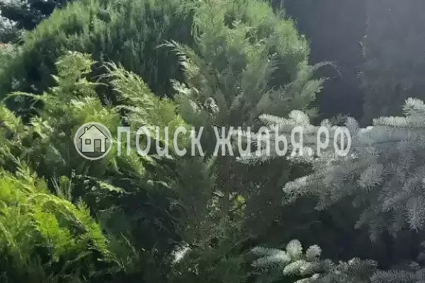 «Италмаз», Джемете