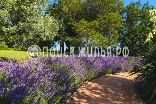 Отель «Крымский Бриз Hotel & Villas», Парковое