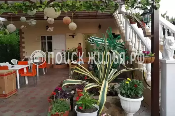 «Аделина», Адлер