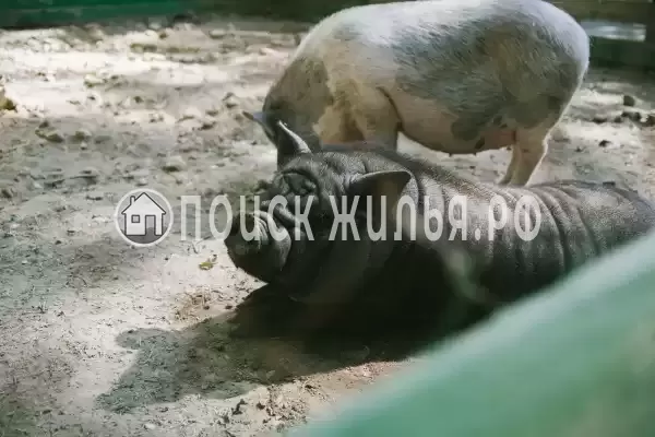 База отдыха «Рыболовно-Охотничья На Калиновке», Верхнекалиновский