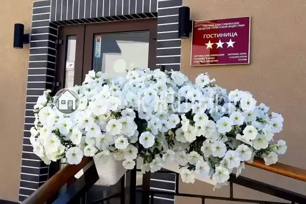 Гостиница «Геркулес», Советск