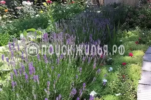 «Солнечный», Сукко