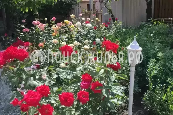 «Солнечный», Сукко