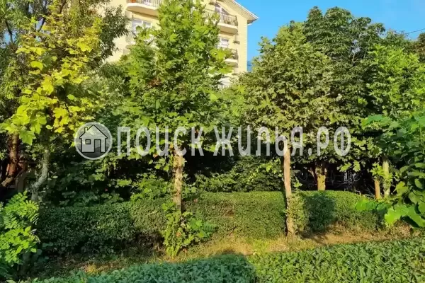 «Флагман», Витязево