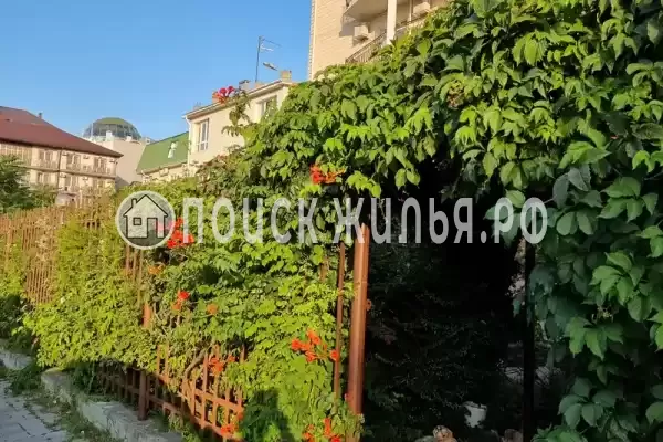 «Флагман», Витязево