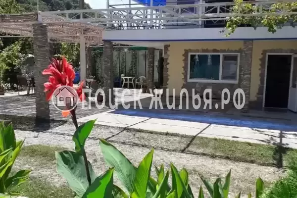 «Семейный», Пляхо