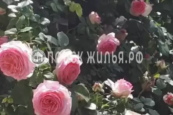 Частный сектор «Частное домовладение на Протапова», Анапа Частный сектор «Частное домовладение на Протапова», Анапа