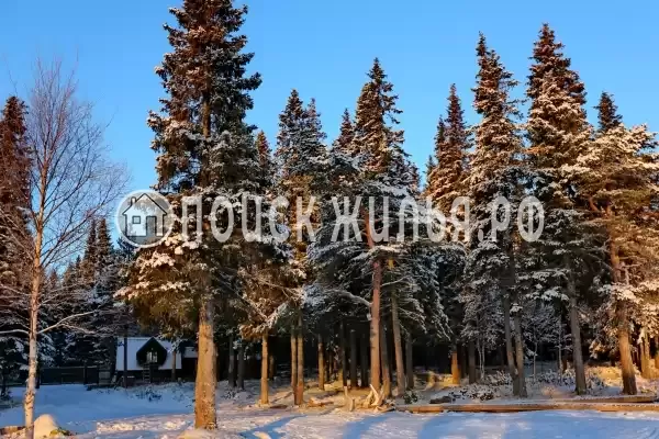 Отель «Cedar Grass Белое Море», Умба Отель «Cedar Grass Белое Море», Умба